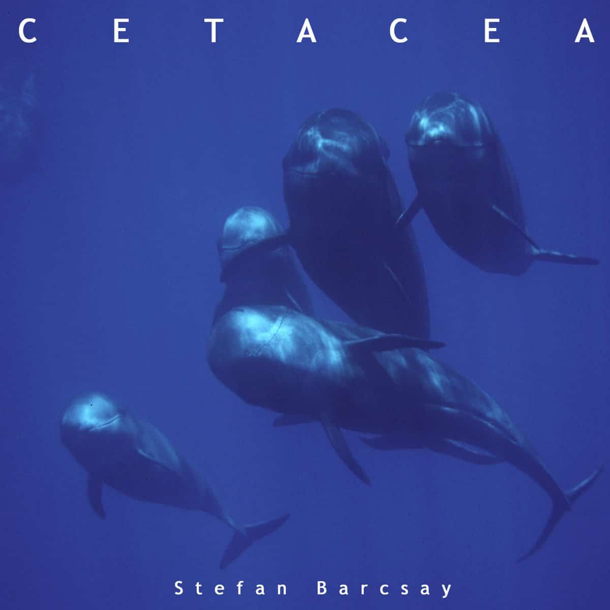 Albumcover: Cetacea